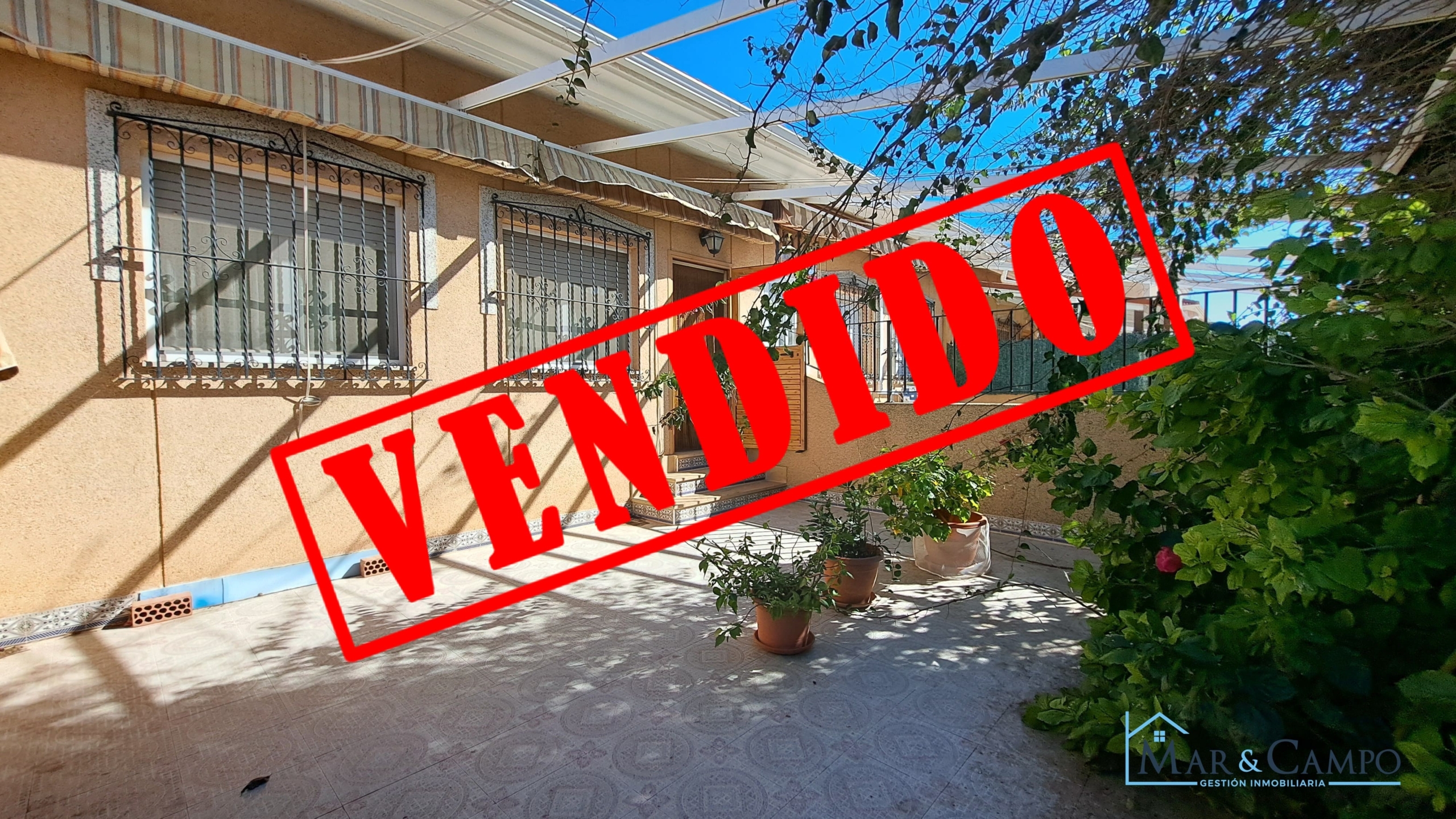 20260212_123703 (1) (1)